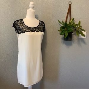Express Shift Dress Color Block & Lace SP